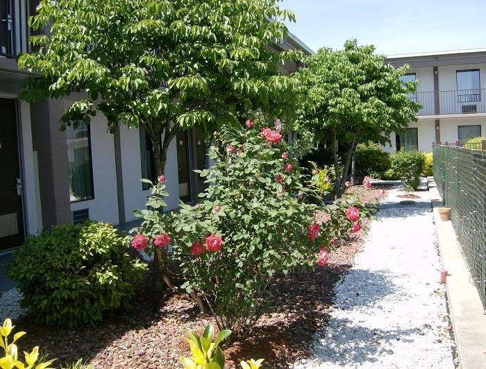Shelbyville Inn - Shelbyville, Tn 37160 Esterno foto